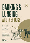 Barking & Lunging at Other Dogs