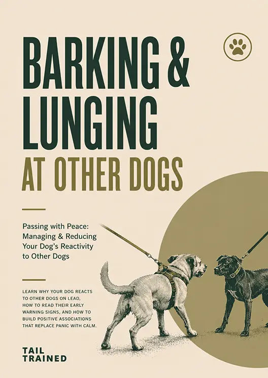 Barking & Lunging at Other Dogs