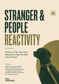 Stranger & People Reactivity